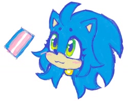 Size: 1516x1200 | Tagged: safe, artist:battiegutz, sonic the hedgehog, :3, autistic, beanbrows, blushing, cute, eyelashes, head only, looking offscreen, pride, pride flag, smile, solo, sonabetes, trans female, trans girl sonic, trans pride, transgender