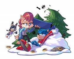 Size: 1920x1547 | Tagged: safe, artist:angiethecat, miles "tails" prower, nicole the hololynx, sally acorn, sonic the hedgehog, chipmunk, fox, hedgehog, lynx, 2024, bruise, christmas, clothes, female, first aid kit, holding something, hololynx, looking at viewer, male, nicole's purple wraps, quartet, ring, sally x sonic, shipping, snow, snowboard, straight, tree, trio focus, winter outfit, wound