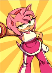 Size: 809x1128 | Tagged: safe, artist:sen_animaten, amy rose, female, green eyes, hand on hip, riders outfit, selfie, smirk