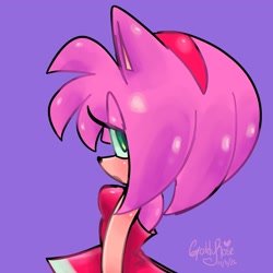 Size: 2038x2038 | Tagged: safe, artist:goldyrose22, amy rose, female, side view, watermark
