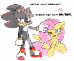 Size: 2609x2160 | Tagged: safe, artist:lbrcloud, shadow the hedgehog, fluttershy, my little pony