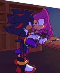 Size: 1759x2149 | Tagged: safe, artist:woniksonik, espio the chameleon, shadow the hedgehog, 2026, abstract background, blushing, bookshelf, duo, frown, gay, indoors, kunai knife, lidded eyes, looking at each other, office, shadpio, shipping, sitting, standing, sweatdrop, table, weapon