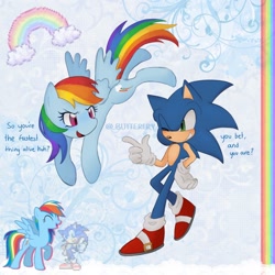 Size: 1440x1440 | Tagged: safe, artist:_bbutterfry, sonic the hedgehog, crossover, dialogue, my little pony, pegasus, pony, rainbow dash, reference inset