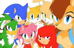 Size: 1024x672 | Tagged: safe, artist:f-sonic, amy rose, bunnie rabbot, jet the hawk, miles "tails" prower, sally acorn, sonic the hedgehog, 2013, arm around shoulders, breasts, deroboticized, featureless breasts, flat colors, frown, goggles, group, lidded eyes, looking at viewer, mouth open, selfie, simple background, tongue out, v sign, white background, wink