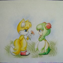 Size: 465x465 | Tagged: safe, artist:dkute, cosmo the seedrian, miles "tails" prower, 2011, cosmobetes, cute, duo, ear fluff, flower, gradient background, grass, holding something, looking at each other, offering flower, shipping, side view, smile, standing, straight, tailabetes, tailsmo, traditional media