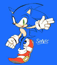 Size: 655x743 | Tagged: safe, artist:pokunchan, sonic the hedgehog, blue background, character name, english text, flat colors, simple background, solo, text, treads