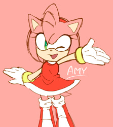 Size: 677x758 | Tagged: safe, artist:pokunchan, amy rose, arms out, character name, mouth open, open smile, pink background, simple background, smile, solo, wink