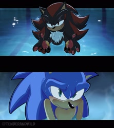 Size: 1821x2048 | Tagged: safe, artist:tenderandmilder, shadow the hedgehog, sonic the hedgehog, 2025, chainsaw man, duo, frown, gay, i teach you everything, lidded eyes, meme, pawpads, paws, shadow x sonic, shipping, smile, water