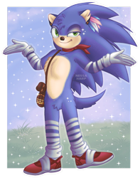 Size: 966x1226 | Tagged: safe, artist:nessa-harp, sonic the hedgehog, 2026, bandage, bandana, blushing, chest fluff, crotch fluff, ear piercing, earring, feather, grass, hair, hip fluff, leg fluff, looking at viewer, outline, pouch, redesign, redraw, semi-transparent background, shrugging, smile, solo, sparkles, standing, standing on one leg
