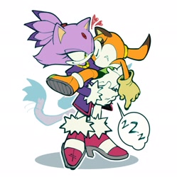 Size: 2041x2048 | Tagged: safe, artist:edlucavalden, blaze the cat, marine the raccoon, cat, raccoon, 2026, carrying them, duo, eyes closed, female, flat colors, heart, holding them, looking at them, shadow (lighting), simple background, sleeping, smile, speech bubble, wagging tail, white background, zzz