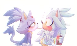 Size: 1024x605 | Tagged: safe, artist:sn0wyangel, blaze the cat, silver the hedgehog, cat, hedgehog, 2024, blaze x silver, blushing, duo, eating, female, food, holding something, looking at each other, male, pocky (food), shipping, simple background, smile, smiling at them, straight, surprised, white background