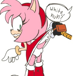 Size: 2000x2000 | Tagged: suggestive, artist:citrus1694, amy rose, tangle the lemur, panties
