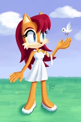 Size: 1353x2048 | Tagged: safe, artist:cloudb1991, sally acorn, bird, chipmunk, 2026, alternate outfit, alternate version, cloud, daytime, dress, duo, female, grass, grass field, literal animal, looking at them