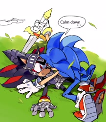 Size: 1780x2048 | Tagged: safe, artist:afajiao, shadow the hedgehog, sonic the hedgehog, sonic and the black knight, 2025, armor, duo, english text, gay, grass, looking at each other, looking at them, lying down, shadow x sonic, shipping, sir lancelot, speech bubble, sword