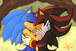 Size: 2048x1393 | Tagged: safe, artist:lukastarfall, shadow the hedgehog, sonic the hedgehog, hedgehog, 2026, duo, eyes closed, gay, holding each other, hugging, shadow x sonic, shipping, smile, standing, star (symbol)