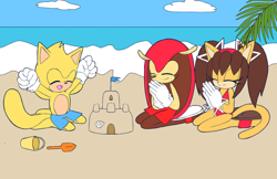 Size: 1280x829 | Tagged: safe, artist:mary7ka55778, honey the cat, mighty the armadillo, ray the flying squirrel, cat, flying squirrel, squirrel, beach, bikini, bucket, clam, clapping, daytime, eyes closed, female, flag, happy, honey x mighty, looking at them, male, sandals, sandcastle, shipping, shovel, straight, swimming trunks, swimsuit, trio