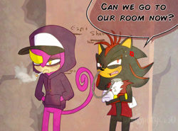 Size: 1280x945 | Tagged: safe, artist:missplayer30, espio the chameleon, shadow the hedgehog, 2025, alternate hairstyle, cap, chain, character name, cigarette, cross popping vein, dialogue, duo, english text, frown, gilet, hands in pocket, hat, hood up, hoodie, lidded eyes, looney tunes, looney tunes movie, mouth hold, mouth open, smoking, speech bubble, squinting, text