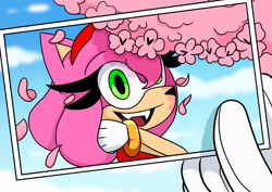 Size: 2048x1451 | Tagged: safe, artist:kittytale, amy rose, shadow the hedgehog, hedgehog, 2026, amy x shadow, daytime, female, holding something, looking at camera, male, photo, pose, sakura blossoms, shipping, solo, straight, tree