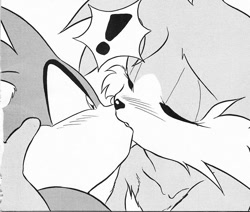 Size: 800x679 | Tagged: safe, artist:flamecat, miles "tails" prower, sonic the hedgehog, 1997, duo, exclamation mark, gay, greyscale, kiss, monochrome, shipping, sonic x tails
