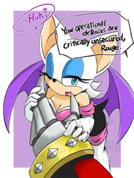 Size: 600x800 | Tagged: safe, artist:poke_wan, e-123 omega, rouge the bat
