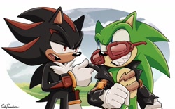 Size: 1640x1016 | Tagged: safe, artist:jadepesky, scourge the hedgehog, shadow the hedgehog, hedgehog, 2026, daytime, duo, glasses, grass field, grin, grinning, jacket, looking at each other, male, scar, talking
