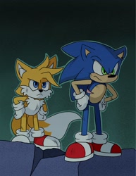 Size: 1583x2048 | Tagged: safe, artist:kittytale, miles "tails" prower, sonic the hedgehog, fox, hedgehog, 2026, alternate universe, au:all in (kittytale), bruise, duo, looking offscreen, male, scar, standing, wound