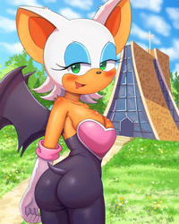 Size: 2800x3500 | Tagged: suggestive, artist:boaz2038, rouge the bat