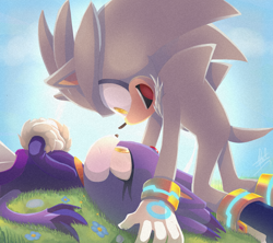 Size: 1500x1330 | Tagged: safe, artist:yaniis15, blaze the cat, silver the hedgehog, cat, hedgehog, 2020, blaze x silver, daytime, duo, flower, grass, grass field, looking at viewer, lying down, male, open smile, shipping, smile, smiling at them, straight