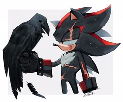 Size: 2048x1702 | Tagged: safe, artist:rumiamura, shadow the hedgehog, hedgehog, crow, feather, scars