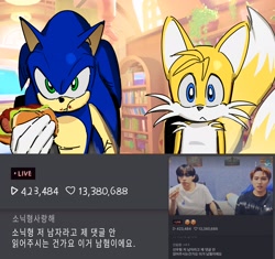 Size: 2998x2819 | Tagged: safe, artist:guitar_00000001, miles "tails" prower, sonic the hedgehog, 2026, chili dog, duo, eating, food, food on face, holding something, indoors, korean text, looking at viewer, reference inset