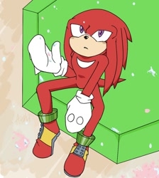 Size: 1000x1116 | Tagged: safe, artist:aoshibazakura95, knuckles the echidna, 2025, looking up, master emerald, sitting, solo