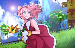 Size: 3319x2169 | Tagged: safe, artist:daereamart, amy rose, human, humanized