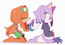 Size: 850x595 | Tagged: safe, artist:twistedsquid, blaze the cat, tikal, duo, eyes closed, female, frown, kneeling, looking offscreen, simple background, smile
