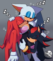 Size: 1782x2048 | Tagged: safe, artist:cajita1213, knuckles the echidna, rouge the bat, shadow the hedgehog
