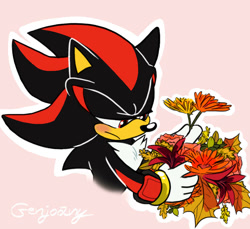 Size: 900x823 | Tagged: safe, artist:genjoany, shadow the hedgehog, hedgehog, 2016, bust, flower, frown, holding something, lidded eyes, looking at something, male, outline, pink background, signature, simple background, solo
