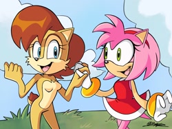 Size: 2048x1536 | Tagged: safe, artist:silvers_rings, amy rose, sally acorn, chipmunk, hedgehog, 2025, cloud, daytime, duo, female, friendship, grass, happy, looking at viewer, open smile, smile, smiling at each other