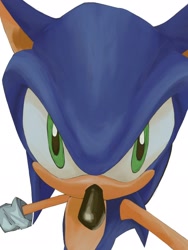 Size: 1536x2048 | Tagged: safe, artist:nicrotinewild, sonic the hedgehog, close-up, lineless, looking at viewer, simple background, solo, white background
