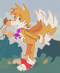 Size: 1187x1443 | Tagged: safe, artist:mxsxbxl, miles "tails" prower, 2024, bending over, flower, grass, looking at viewer, lotus, one fang, outline, plant, rhythm badge, smile, solo