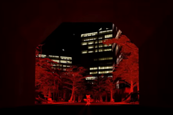 Size: 900x600 | Tagged: safe, artist:greatwhite studios, miles "tails" prower, 3d, building, front view, screencap, solo, street, the backrooms, tree