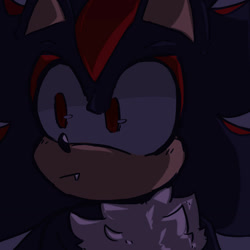 Size: 1280x1280 | Tagged: safe, artist:milesprowerdoodlez, shadow the hedgehog, hedgehog, 2026, :/, close-up, grey background, looking offscreen, male, one fang, simple background, solo