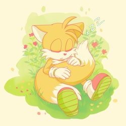 Size: 2034x2035 | Tagged: safe, artist:milordyobah, miles "tails" prower, 2026, cute, eyes closed, floppy ears, flower, grass, holding something, holding tail, limited palette, mouth open, simple background, sitting, sleeping, solo, tailabetes, text, treads, zzz