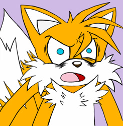 Size: 1024x1043 | Tagged: safe, artist:kendo64, miles "tails" prower, 2018, dark bags under eyes, flat colors, looking offscreen, meme, mouth open, purple background, redraw, simple background, solo, tails gets trolled