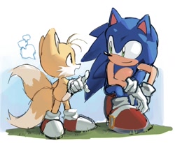 Size: 1766x1445 | Tagged: safe, artist:leum439, miles "tails" prower, sonic the hedgehog, fox, hedgehog, daytime, duo, looking at each other, male, speech bubble, talking