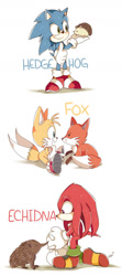 Size: 801x1800 | Tagged: safe, artist:piink-rose, knuckles the echidna, miles "tails" prower, sonic the hedgehog, echidna, fox, hedgehog, english text, group, literal animal, male, simple background, trio focus, white background