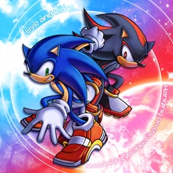 Size: 2048x2048 | Tagged: safe, artist:eriquack_, shadow the hedgehog, sonic the hedgehog, sonic adventure 2, 2026, duo, english text, frown, live and learn, looking at viewer, redraw, smile, soap shoes, text