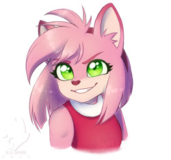 Size: 798x746 | Tagged: safe, artist:meowhawkk, amy rose, 2019, bust, ear fluff, freckles, fur markings, heart nose, looking at viewer, simple background, smile, solo, white background