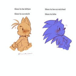 Size: 1200x1200 | Tagged: suggestive, artist:wussup_draws, miles "tails" prower, sonic the hedgehog, 2026, bite mark, blushing, english text, gay, injured, monochrome, scratch (injury), shipping, signature, simple background, sonic x tails, spot color, text, white background