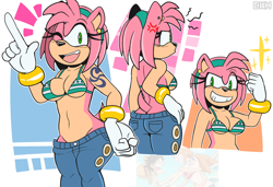 Size: 2700x1850 | Tagged: safe, artist:darkwolfhybrid, amy rose, nami (one piece), one piece