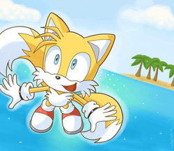 Size: 759x657 | Tagged: safe, artist:domestic maid, miles "tails" prower, fox, 2012, clouds, daytime, flying, gloves, island, male, open mouth, open smile, palm tree, sea, shoes, sky, smile, solo, spinning tails, tree, water