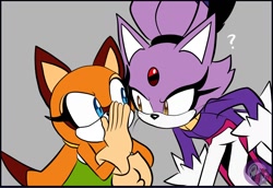 Size: 1282x882 | Tagged: safe, artist:theglitched0wl, blaze the cat, marine the raccoon, cat, raccoon, 2026, duo, female, flat colors, grey background, looking at each other, no mouth, question mark, simple background, whiskers, whispering